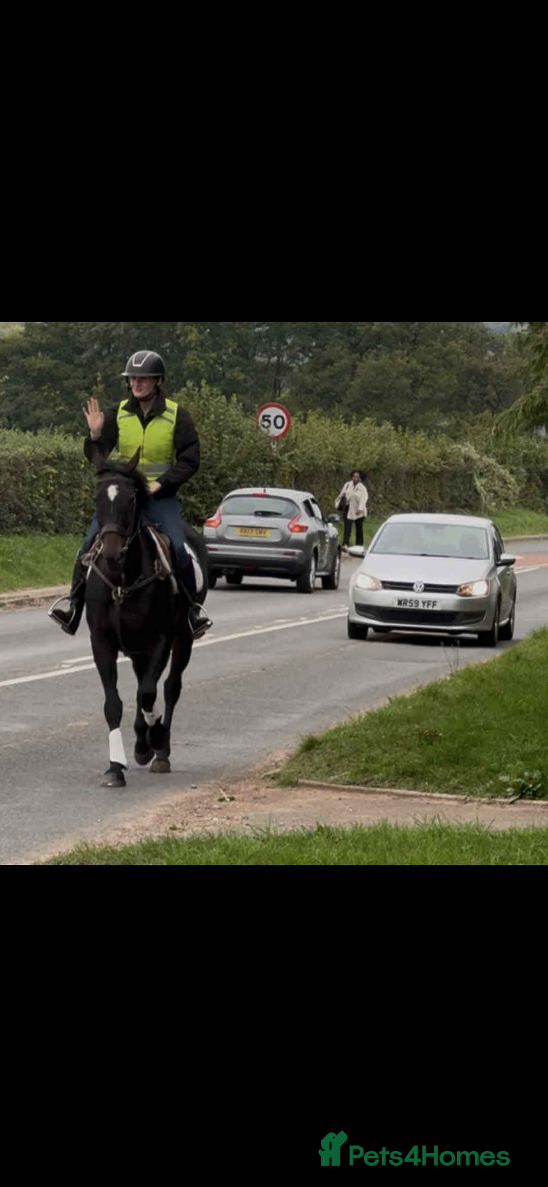 English Thoroughbred horses for sale: Dora - A Classy Flashy Allrounder  - Image 1