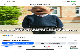 Mixed Breed dogs for sale: Make husky x - Image 2