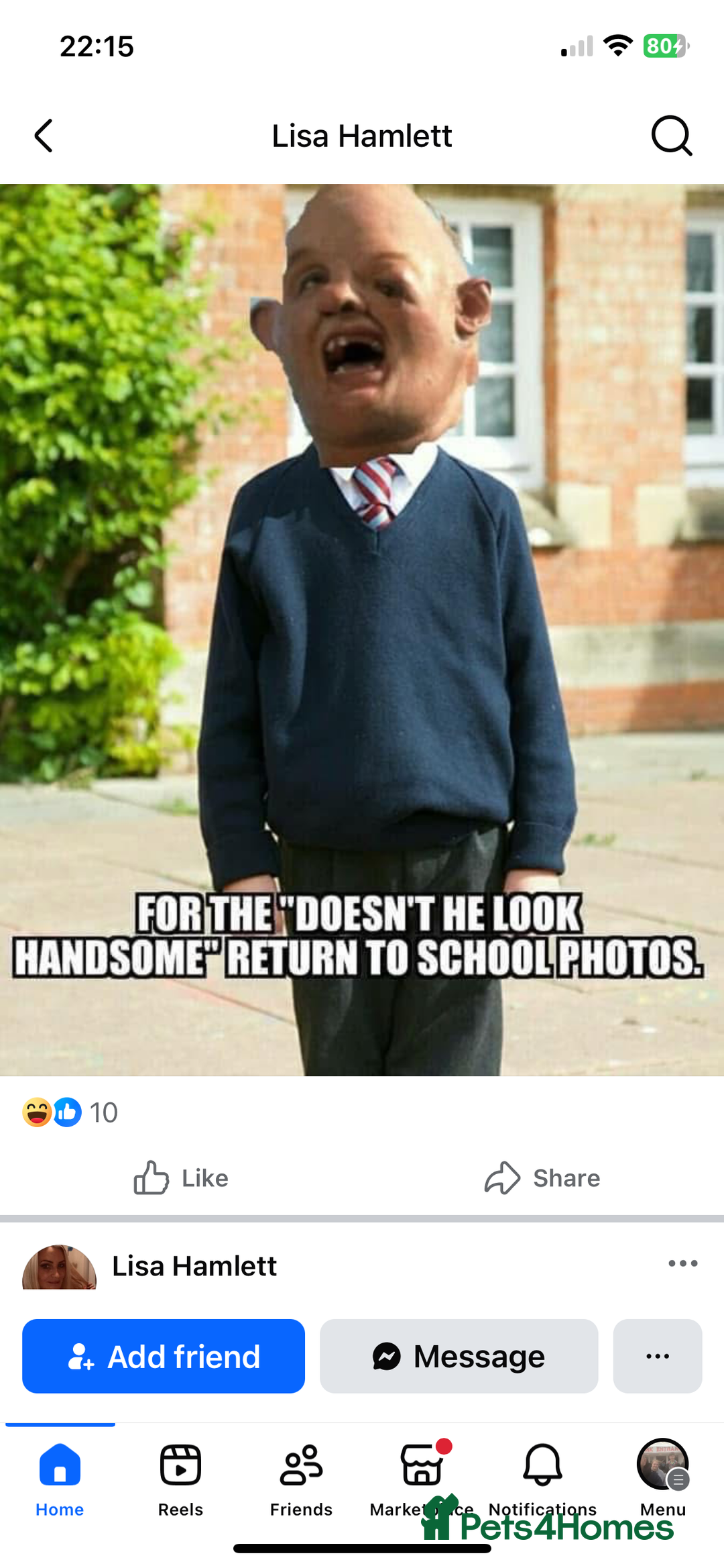 Mixed Breed dogs for sale: Make husky x - Image 2