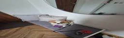 Mixed Breed dogs for sale: Bella- Chihuahua x Papillion (Female) in Liverpool - Advert 7