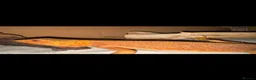 Bearded Dragon reptiles for sale: Mango the bearded dragon  - Advert 3