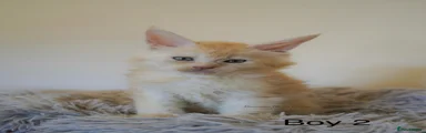 Boy 2