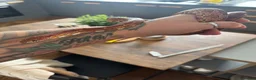 Corn Snake reptiles for sale: Corn snake & Vivarium - Advert 2