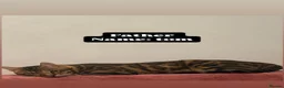 Bengal cats for sale: Beautiful Bengal kittens 2m 1f Price is negotiable in Harrow - Advert 20