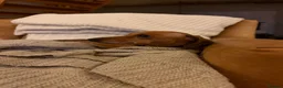 Dachshund dogs for sale: Mum and daughter mini dashounds for adoption   - Advert 10