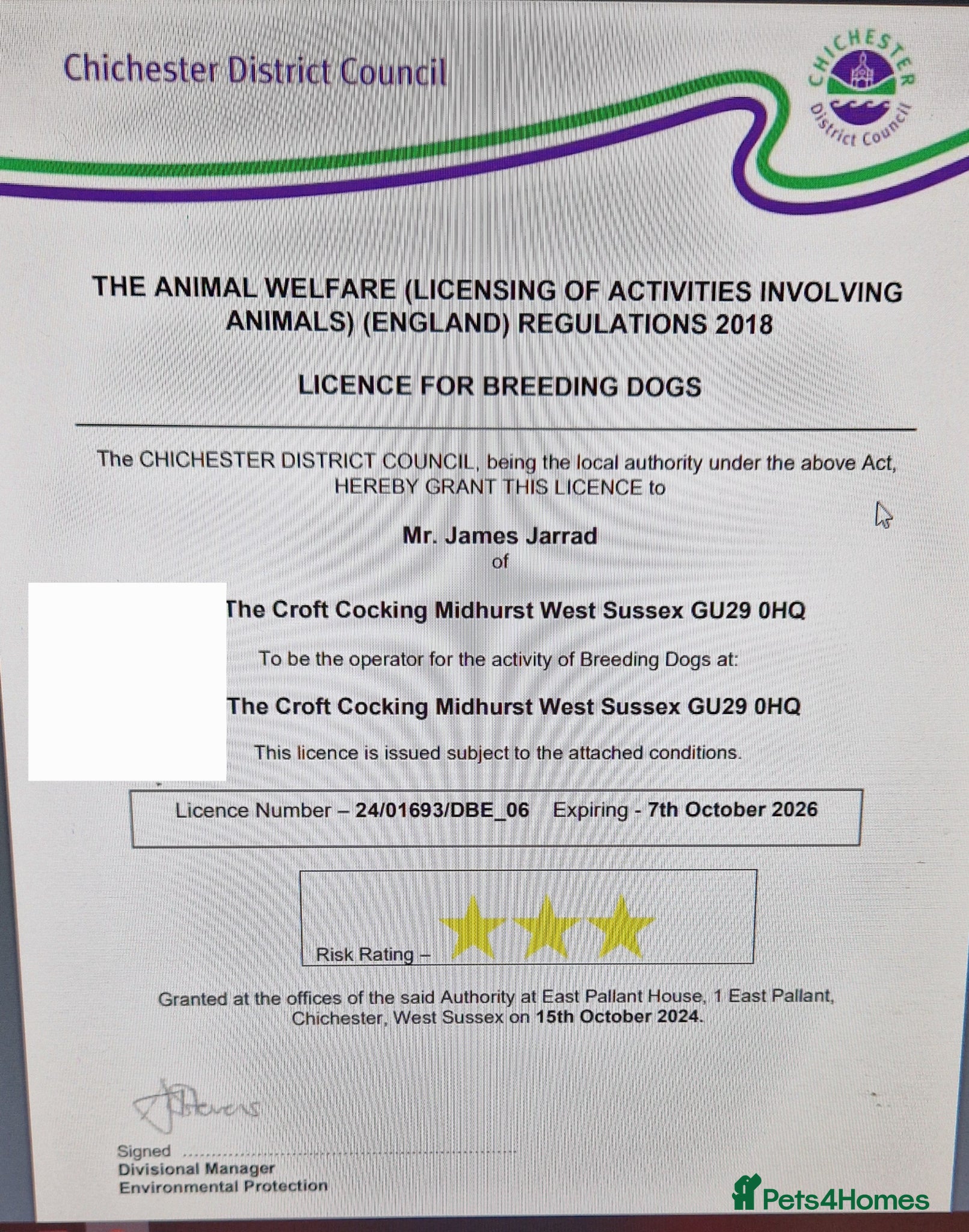 Labradoodle dogs F1 fox Red Labradoodle  - Advert 2