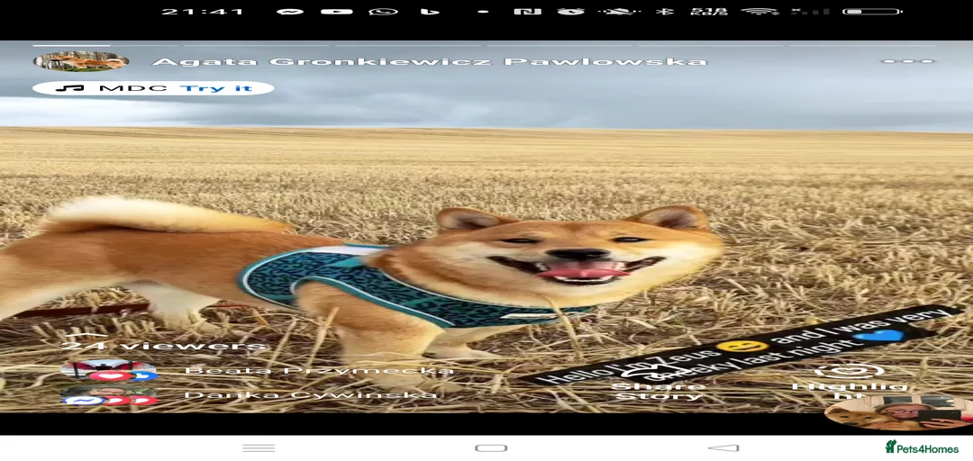 Gallery Image {{count}}