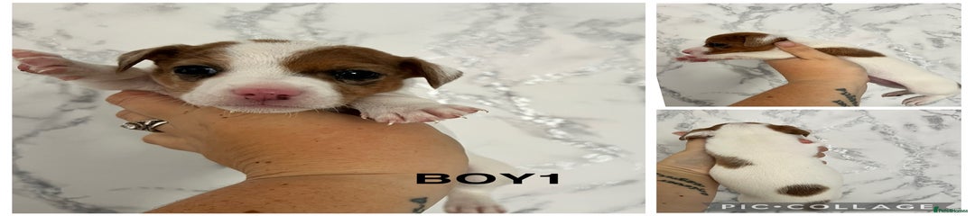 Boy 2
