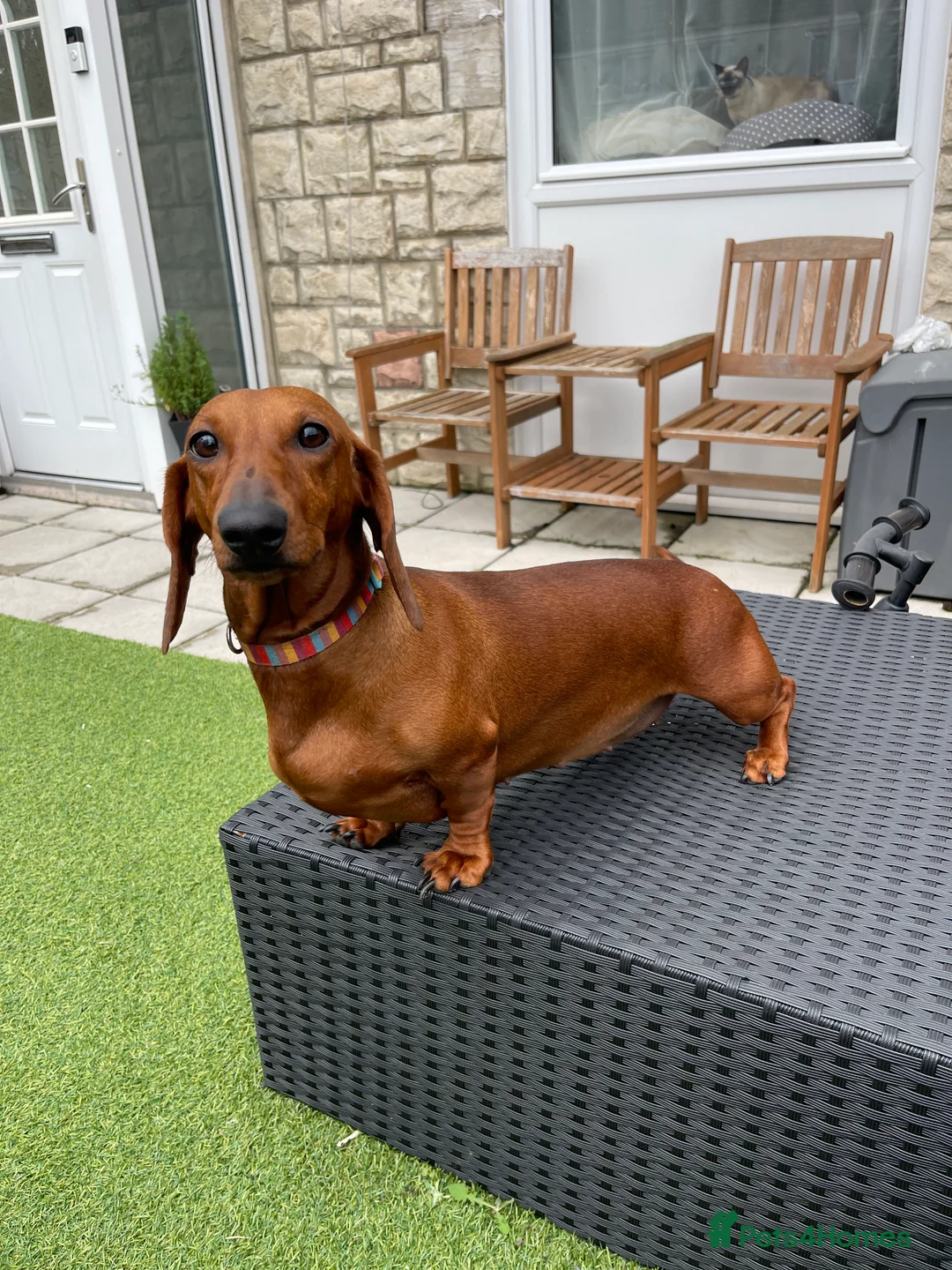 Gallery Image {{count}}