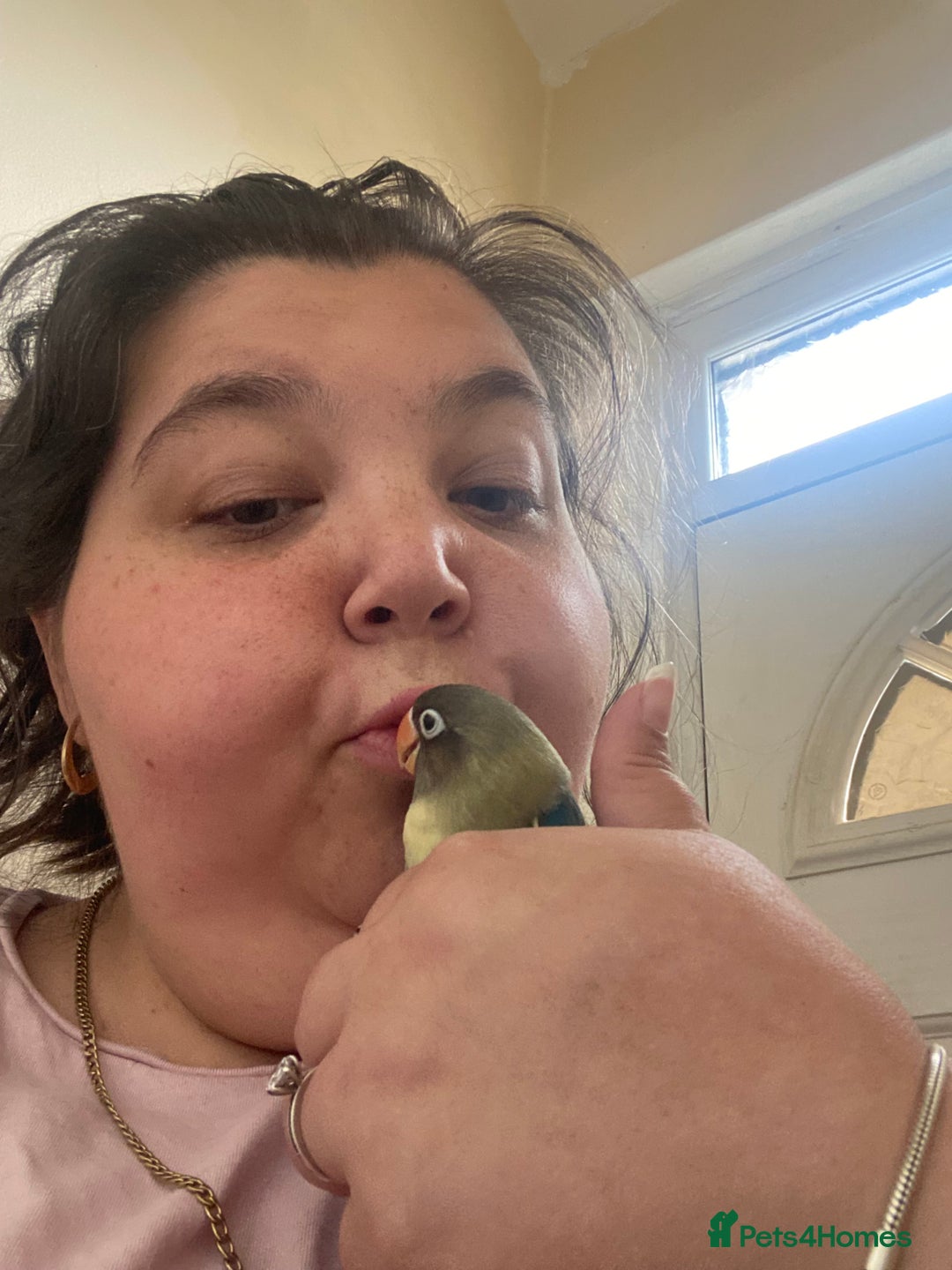 Lovebirds birds for sale: 4 year old female and 6 week old baby  - Image 5