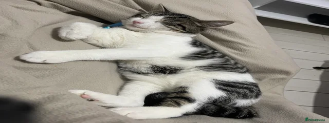 Max