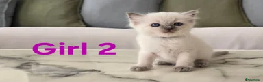 Girl 2