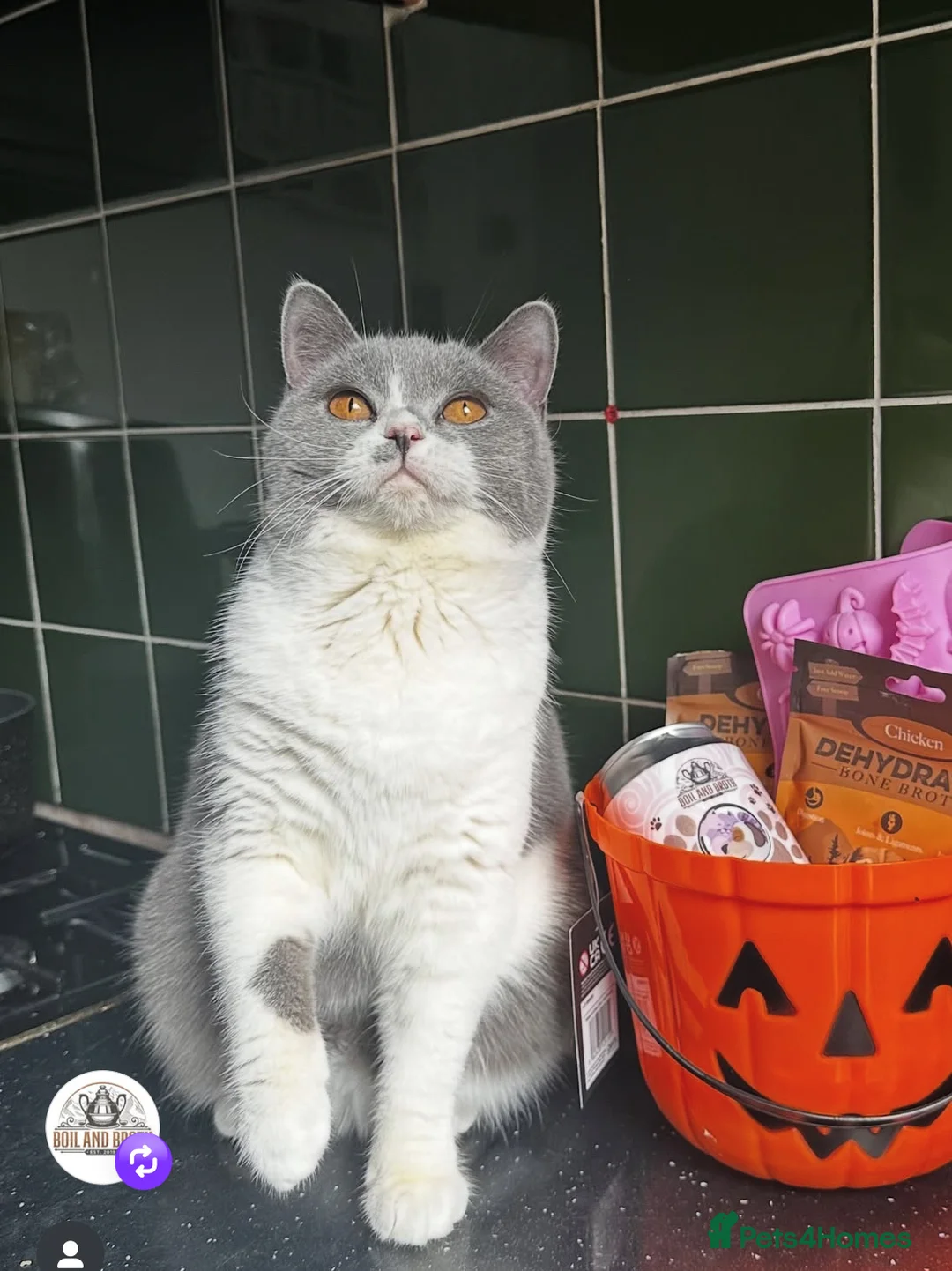 Gallery Image {{count}}