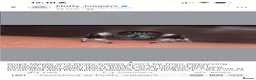 Spiders invertebrates for sale: Phidippus Regius-Soroa Wholesale x5 - Advert 3