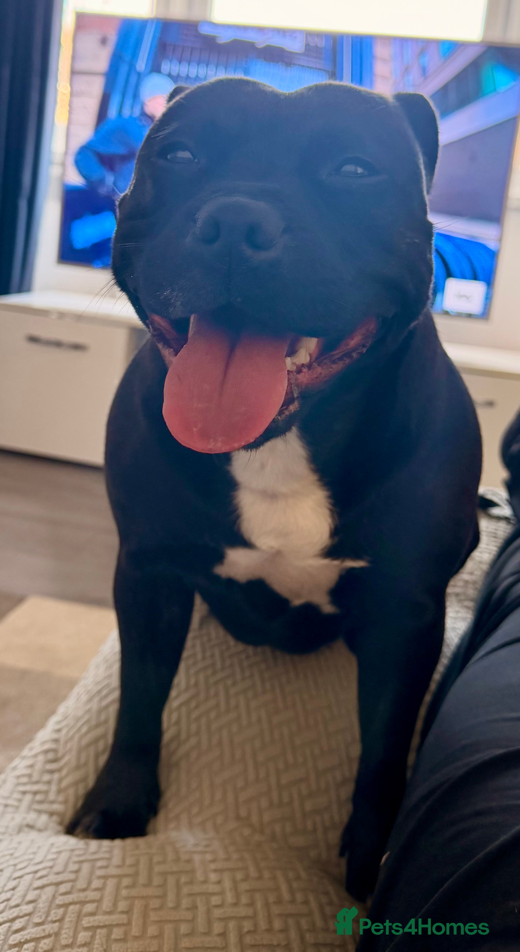 Millie