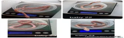 Corn Snake reptiles for sale: Baby corn snakes for sale  - Advert 7