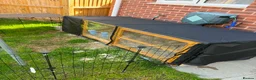 Mixed Breed rabbits for sale: 2 male rabbits  - Advert 2