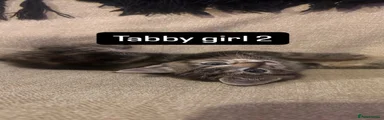Tabby girl 2