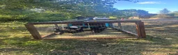Chickens poultry for sale: Ayam cemani chicks - Advert 3