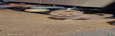 Pancake 