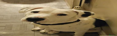 Nova