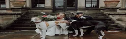 Mixed Breed dogs for sale: Lazy Lurchers  - Advert 4