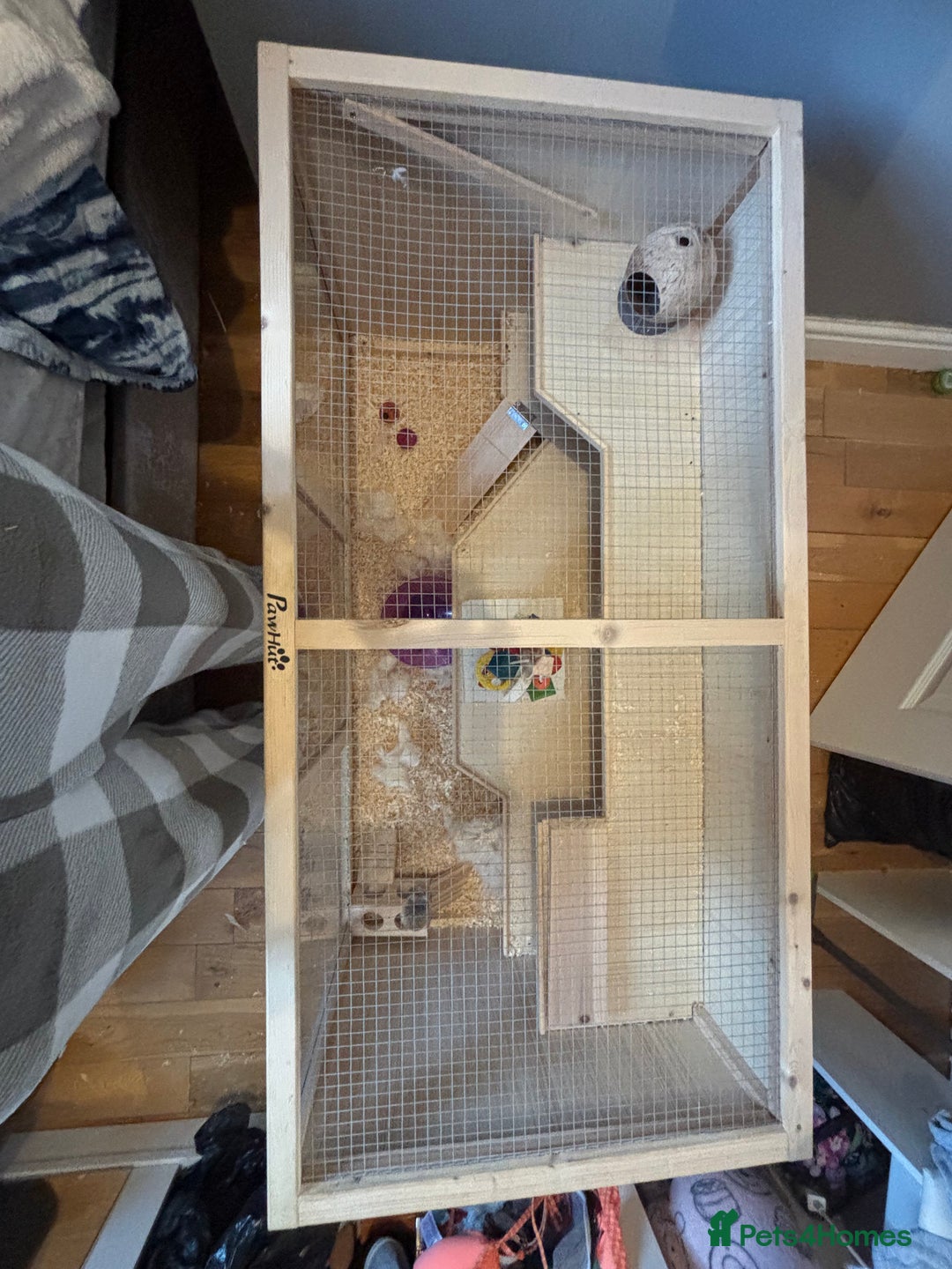 Hamster rodents for sale: Robo Hamster For Sale With Cage - Advert 6