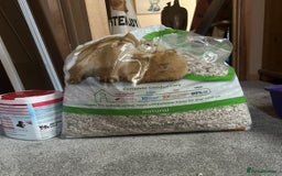 Hamster rodents for sale: Full hamster/mouse cage and setup  - Image 4