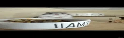 Hamster rodents for sale: Hamster for sale in Oswestry - Advert 1