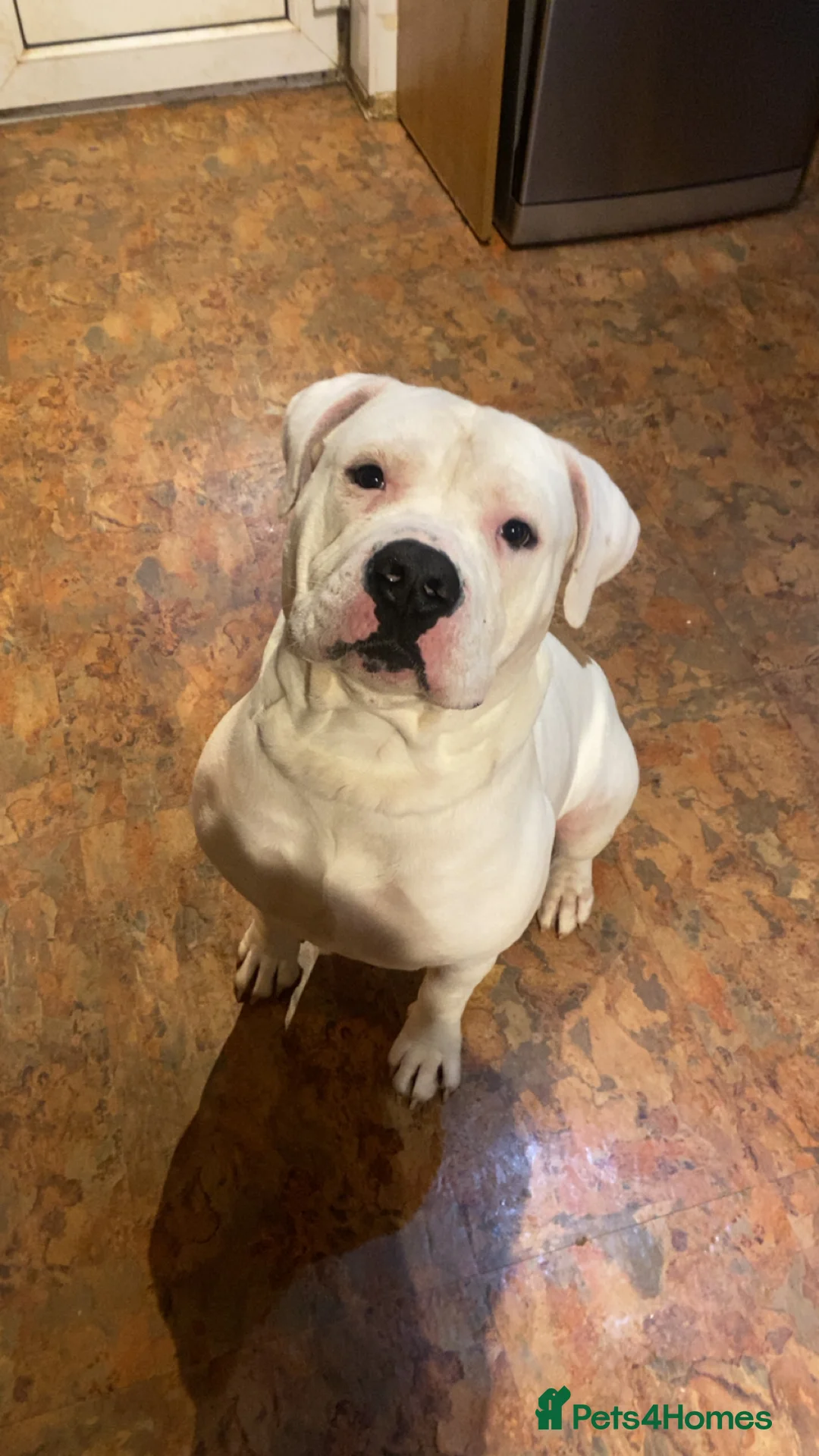 Gallery Image {{count}}