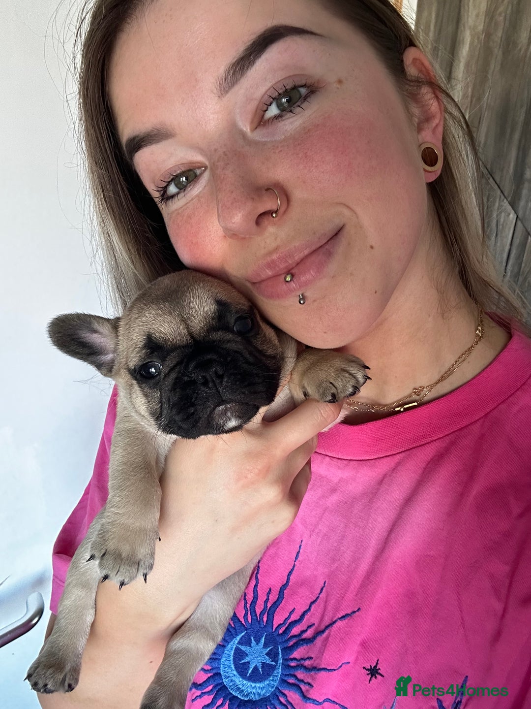 French Bulldog dogs for sale: FrenchAngels 👼🏼🐾 - Image 30