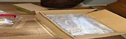 Tarantulas invertebrates for sale: Collection of tarantulas & equipment for new home  - Advert 9