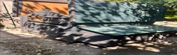 Chickens poultry for sale: 5 Chickens & Coop  - Advert 7