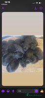 Mixed Breed dogs - Advert 13