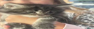 Maggy