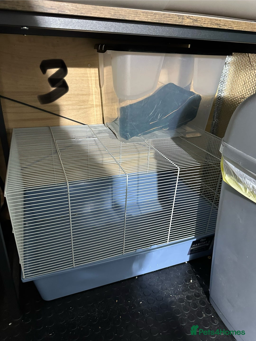 Rat rodents for sale: Rats & complete set up - Image 22