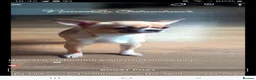 Chihuahua dogs for sale: Dna tested parents Chihuahua puppies  - Advert 8