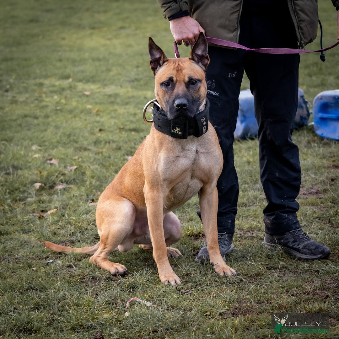 Gallery Image {{count}}