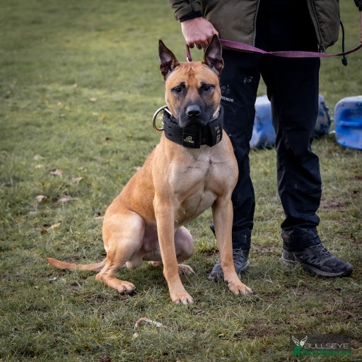 Gallery Image {{count}}