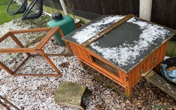 Guinea Pig rodents for sale: Two female guinea pigs looking for forever home - Advert 3