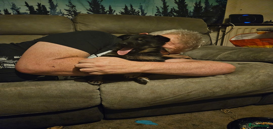 Gallery Image {{count}}