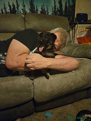 Gallery Image {{count}}