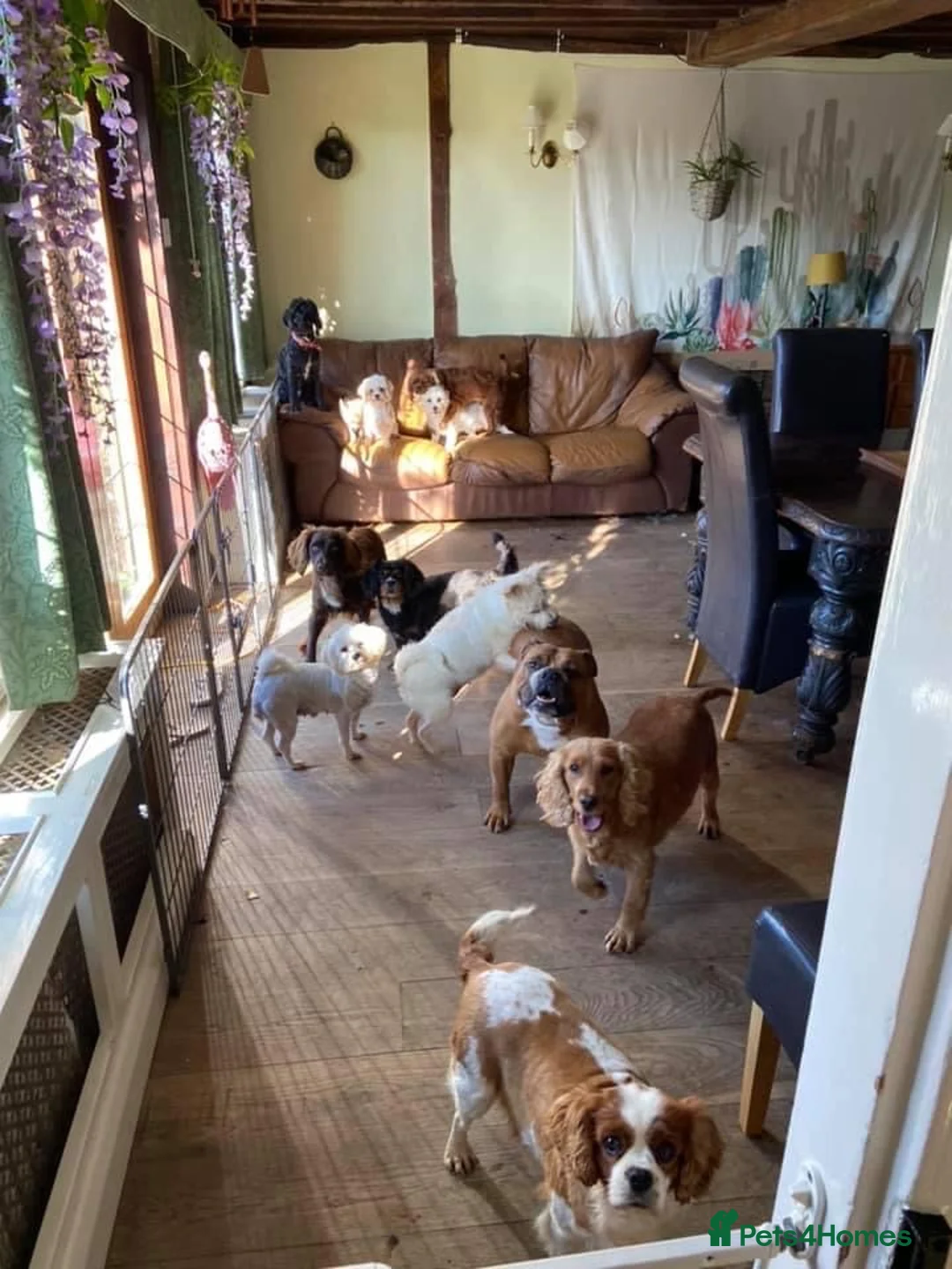 Gallery Image {{count}}