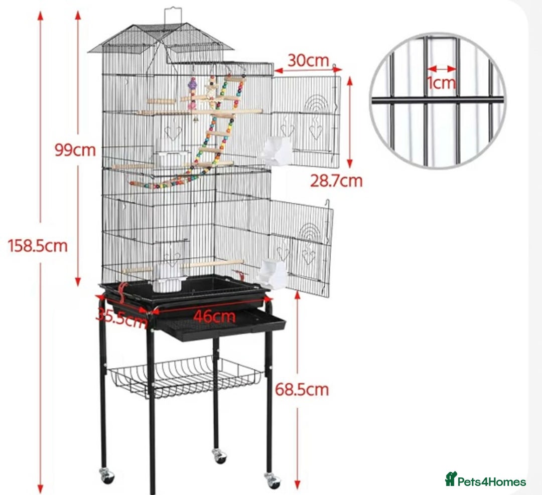 Finches birds for sale: Finches x 3 including Cage - Advert 7