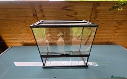 Frog reptiles for sale: Kit terrarium - Image 8