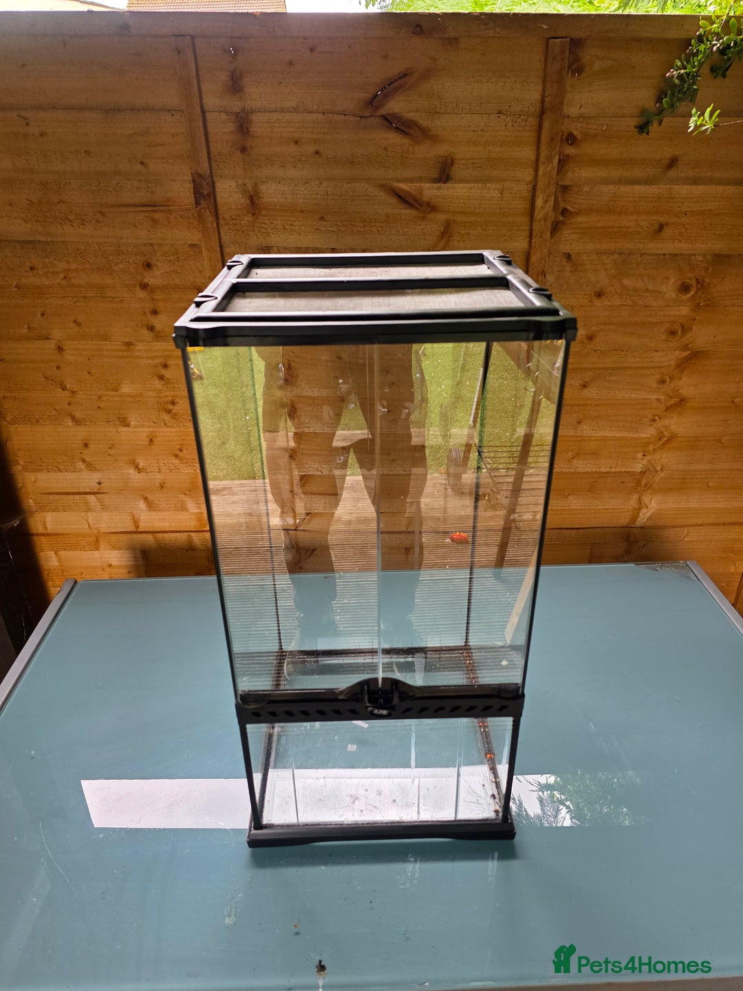 Frog reptiles for sale: Kit terrarium - Image 8