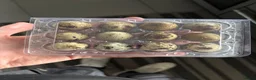 Quail poultry for sale: Courtnix jumbo quails eggs  - Advert 1