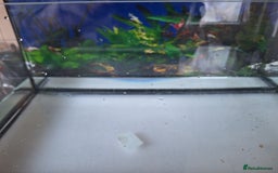 Other/Mixed Breed fish for sale: 60ltr Fishtank with Accessories Only - Image 14