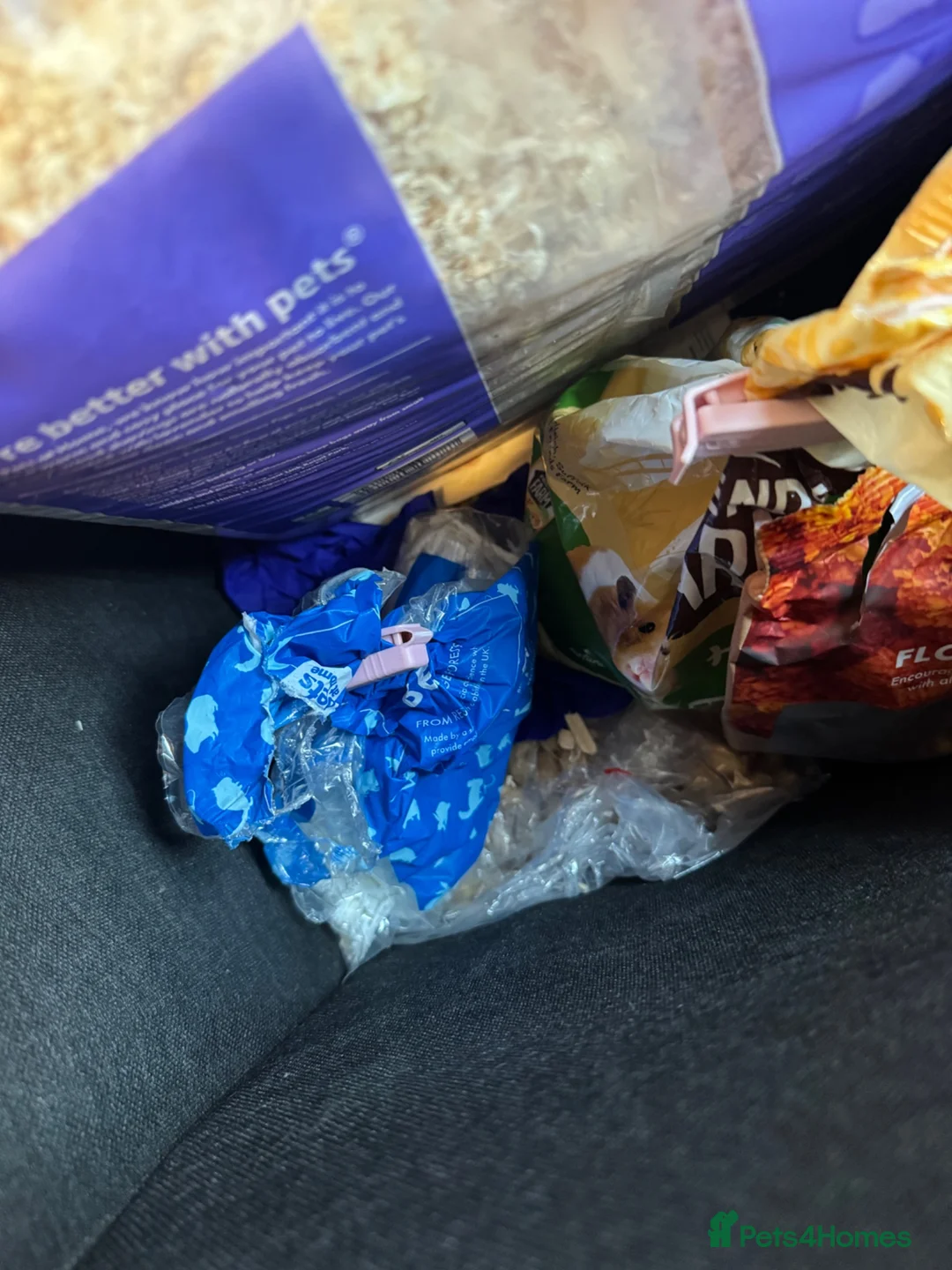 Hamster rodents for sale: Hamster and cage  in Darlington - Advert 4
