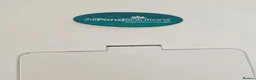 Live Bearers fish for sale: Aquarium with fish in Stockton-on-Tees - Advert 4